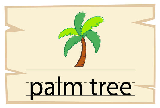 Wordcard template for word palm tree