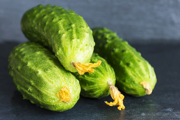 fresh cucumbers on a slate