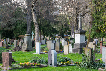 Obraz premium European Graveyard Crowded Green Plants Trees Outdoors Church Religious Grassy Afternoon
