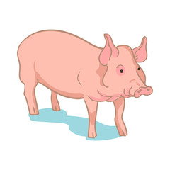 Realistic colored sketch vector illustration of farm pig