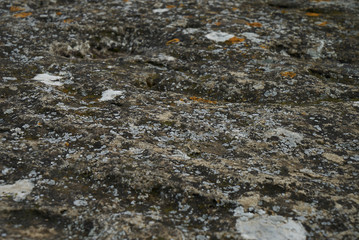 Close-up detail of texture of rocks on shore. Nature and adventure concept.