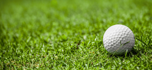 Golf ball on course