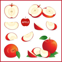 Set of red apple in pieces, whole, slice and half in vector format isolated on white