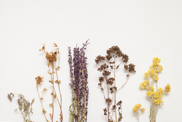 Hypericum, sage, thyme, oregano, immortelle