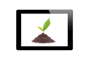Black Touch Screen Tablet and Young plant in ground