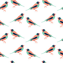 Vector seamless pattern with color birds