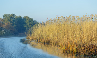 River with reed reflected in the Delta of the Volga River, Russia