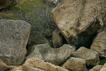 A Dried dead tree in mountains, a mountain valley, Gobustan , Azerbaijan.Large boulders that have broken off of a high cliff and slid down a hillside.