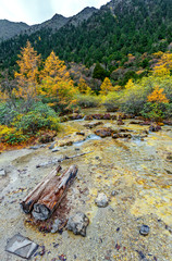 Huanglong National Park near Jiuzhaijou - SiChuan, China