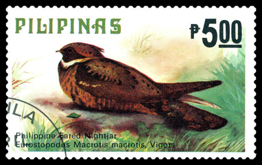 Postage stamp.  Great eared Nightjar.