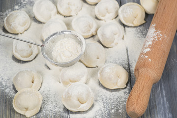 Fototapeta na wymiar cooking dumplings molding