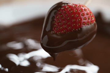 dipping strawberry into dark premium chocolate, with copy space