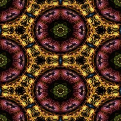 Kaleidoscopic ornamental pattern