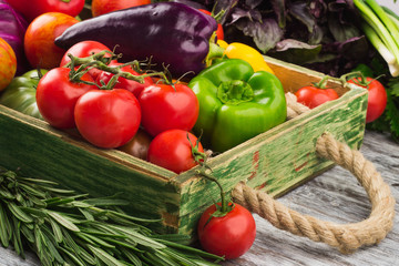 Set of vegetables in the tray