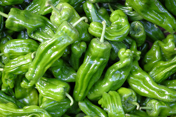 green bell pepper