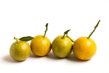 Closed up of kumquat orange that placed on white background