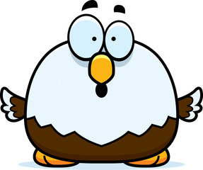 Surprised Little Bald Eagle