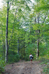 Hiking in Carpathian mountains forest