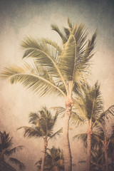 Vintage textured tropical palm trees