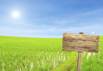 Wooden sign with empty space in rice field.