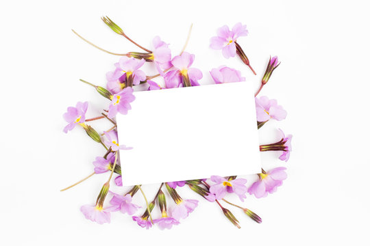 Fototapeta Empty card  and floral composition with  lilac and purple  flowers on white background. Flat lay, top view. Flowers  mockup