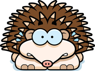 Nervous Little Hedgehog