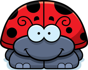 Fototapeta premium Smiling Little Ladybug