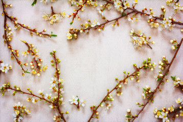 blooming spring branches of a fruit tree with white flowers on a pink background with space for text. Flat lay, top view