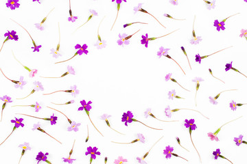 Flowers composition. Frame made of lilac and purple  flowers. Flat lay, top view.