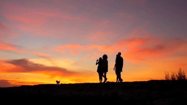 Amazing Silhuettes on Sunset. Four Hipster Friends Walk with Dog. Beautiful Sky on Background. HD Slowmotion. Thailand.