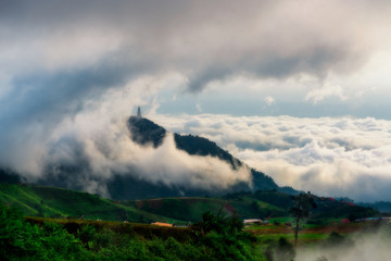 Obraz na płótnie Canvas Phu Tubberk Mountain and fog at Phetchabun,Thailand