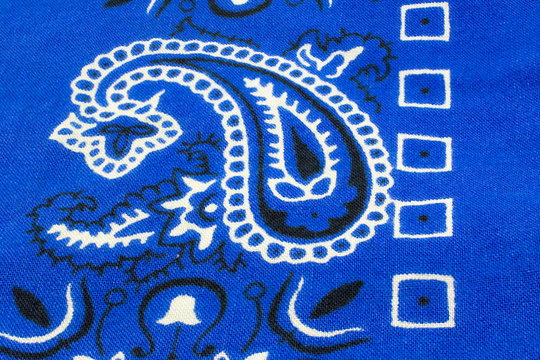 Paisley Closeup on Blue Bandana