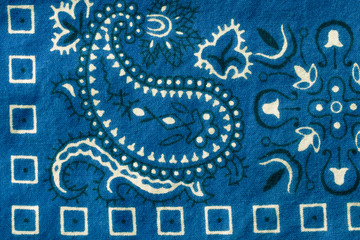 Blue Bandana Closeup Design