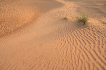Abandoned ghost village in Arabian desert.