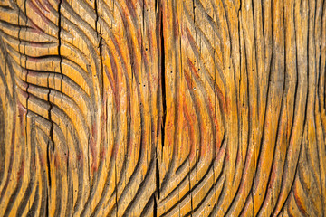 wood texture wood-carvings in the Park, handmade