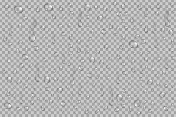 Vector set of realistic water droplets on the transparent background.