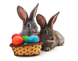 Fototapeta na wymiar Easter bunnies with colored eggs.