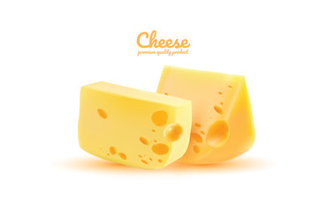 Cheese types vector. Modern style realistic vector illustration.