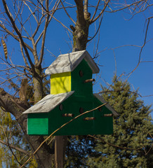 Birdhouse at city park Day Outdoor  