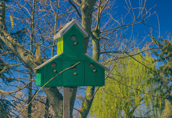 Birdhouse at city park Day Outdoor  