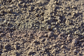 Brown ground surface. Close up natural background.