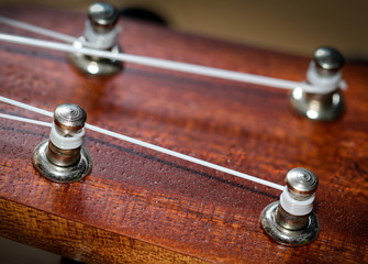 Teile einer Gitarre, Ukulele, Musikinstrument, Noten, Unterhaltung