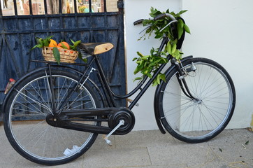Fototapeta na wymiar rural bicycle with fruits in wicker basket