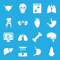 Set of 16 anatomy filled icons