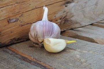 головка и долька проросшего  чеснока на деревянном фоне