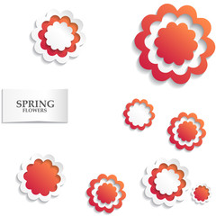 Red and white floral paper background. Spring background with beautiful colorful flower. Vector illustration template.banners.Wallpaper.