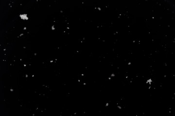 Real snowflakes in front of black background