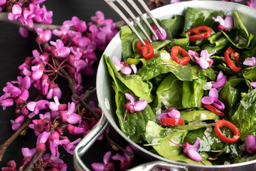 Judasbaumblüten auf grünen Salat