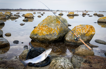 Sea trout fishing scenery