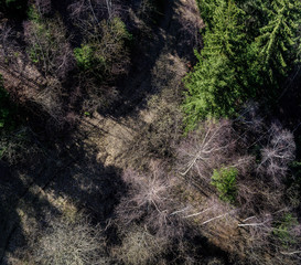 Bird perspective. Aerial view over mountain forest road.